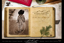 flash and video ranch web site design