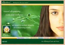 Skin care flash website