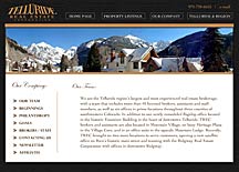 Flash Business Website